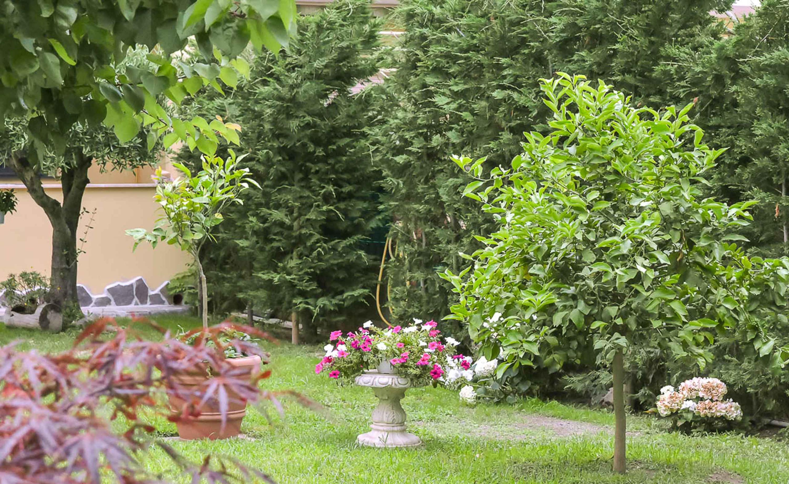 Bed and Breakfast A Casa Di Titty Fiumicino Exterior foto