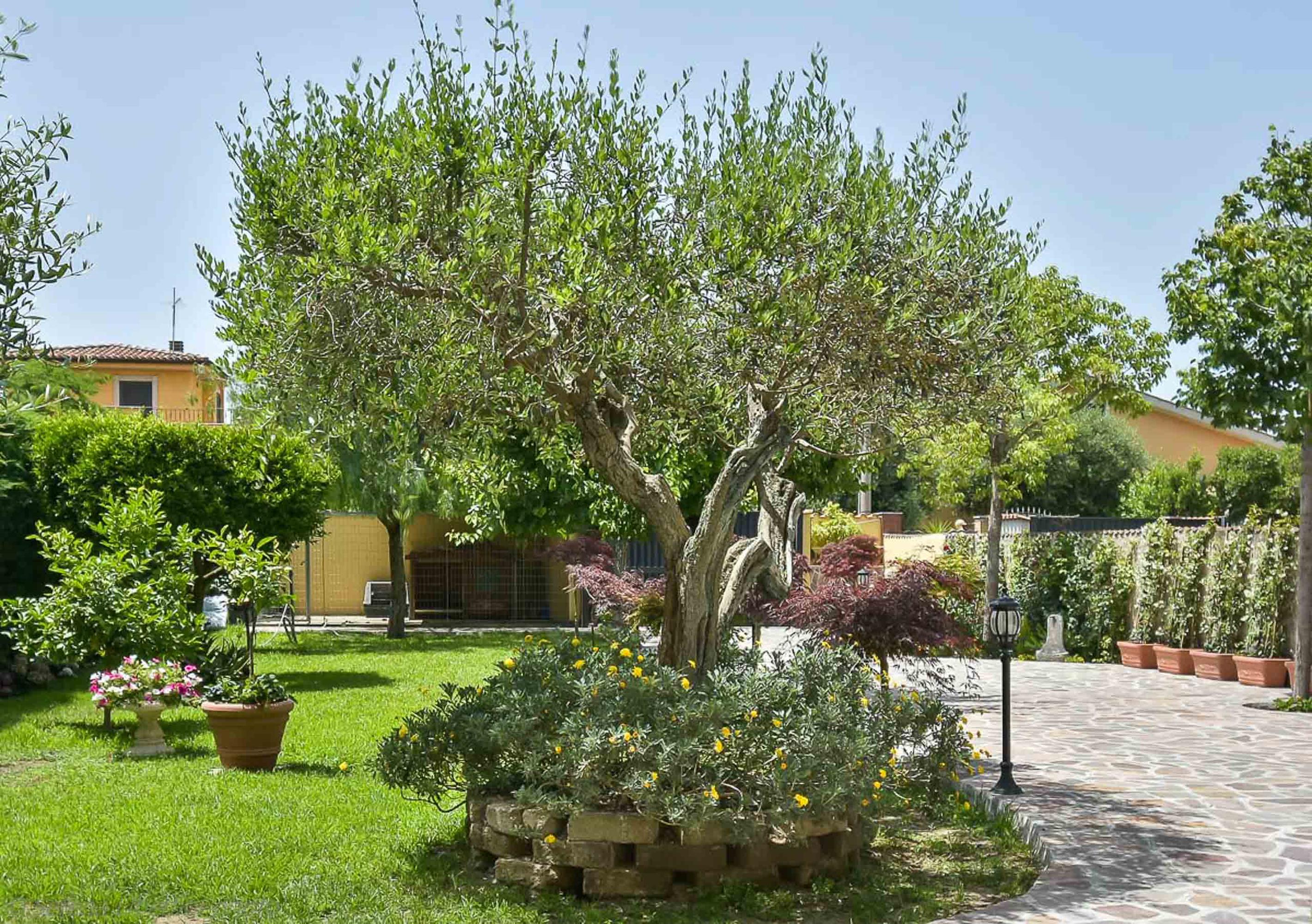 Bed and Breakfast A Casa Di Titty Fiumicino Exterior foto