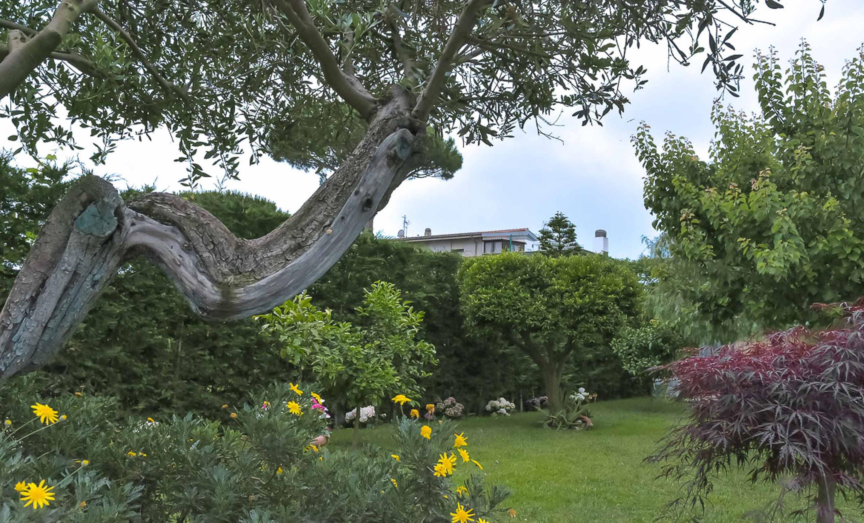 Bed and Breakfast A Casa Di Titty Fiumicino Exterior foto