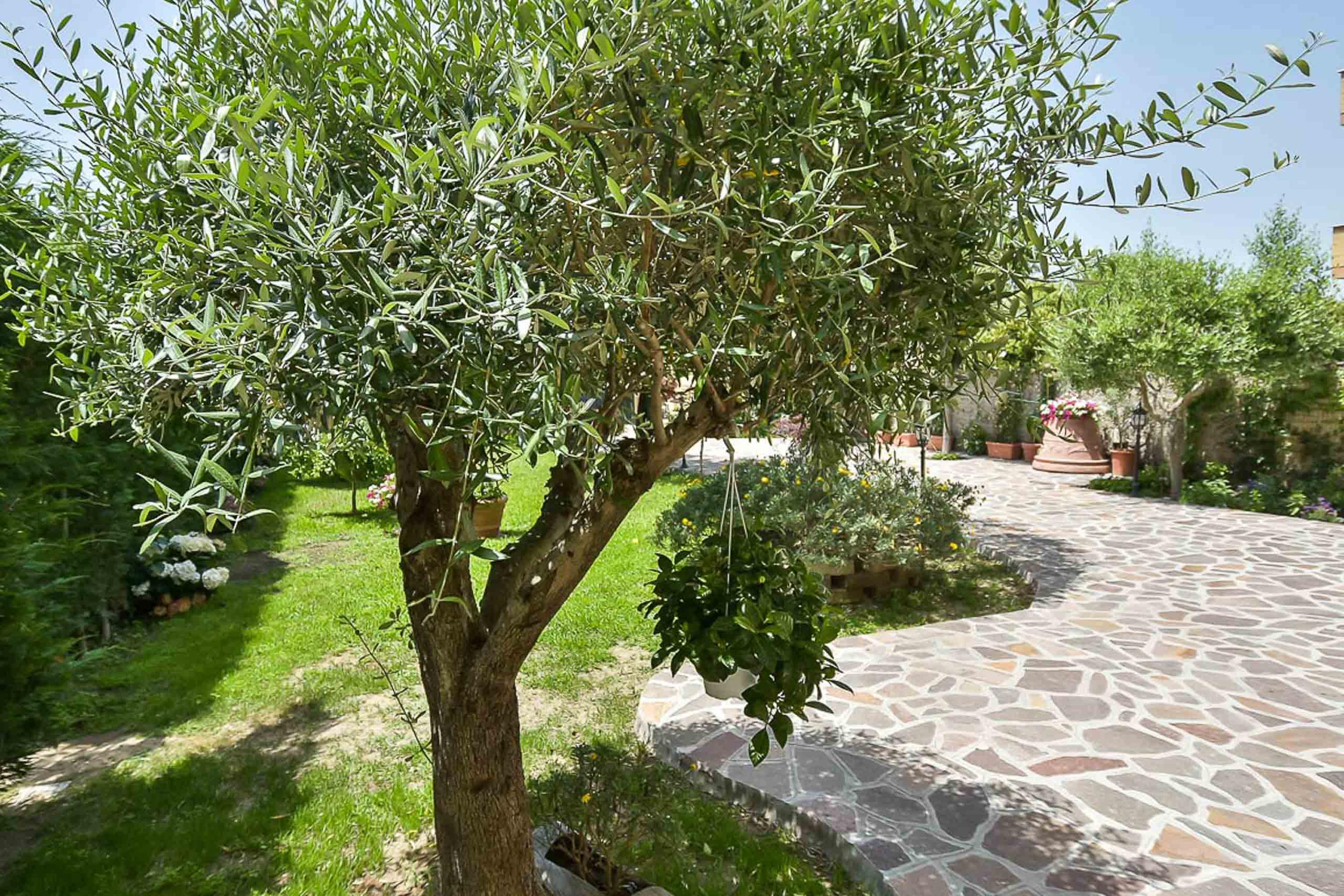 Bed and Breakfast A Casa Di Titty Fiumicino Exterior foto